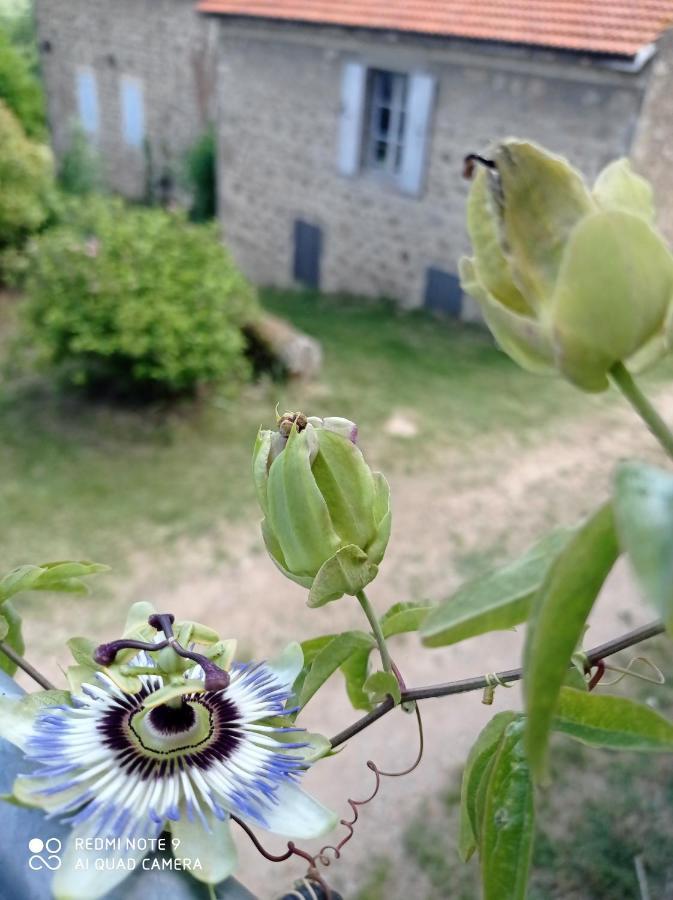 Vila Ferme De Fenivou Boulieu-les-Annonay Exteriér fotografie